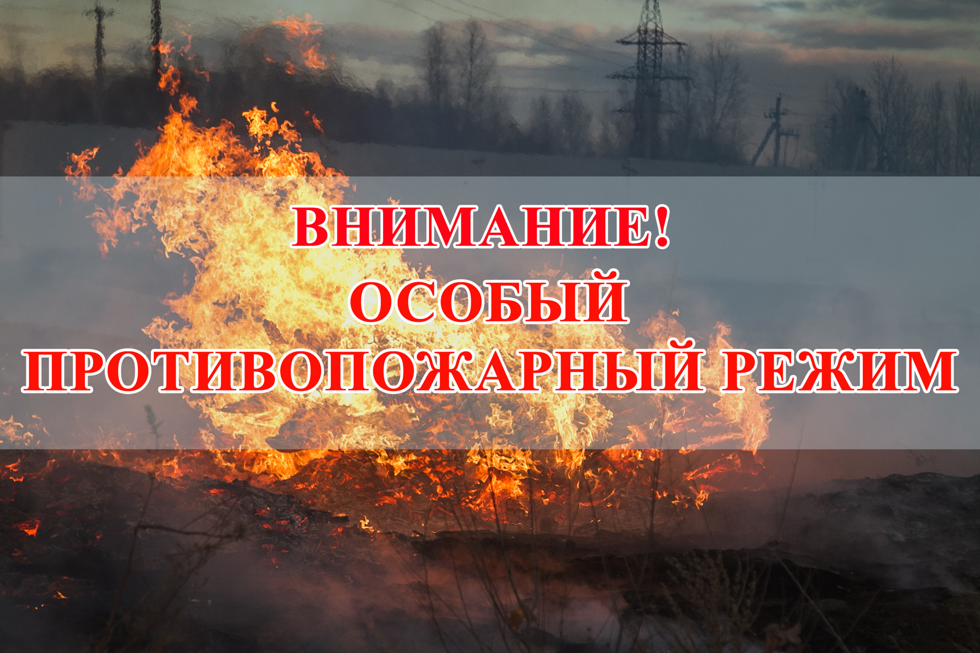 На территории Псковской области введён особый противопожарный режим.