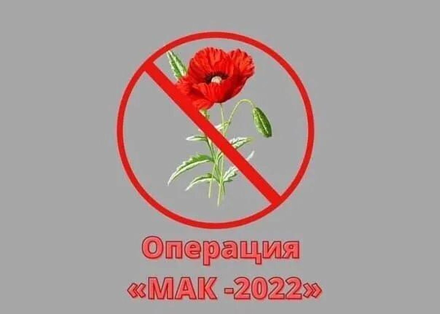 Операция «Мак -2023».