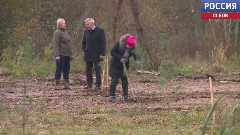 🌳В Дедовичах благоустраивают парк отдыха вдоль улицы Бундзена..