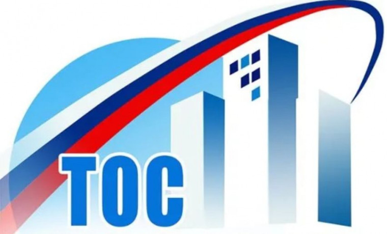Конкурс проектов, разработанных территориальными общественными самоуправлениями в 2024 году.. Конкурс проектов, разработанных территориальными общественными самоуправлениями в 2024 году..