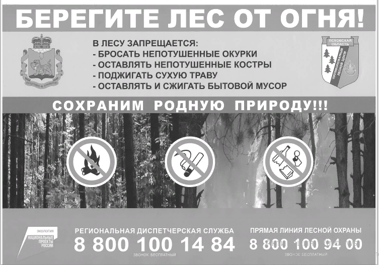 Берегите лес от огня !. Берегите лес от огня !.