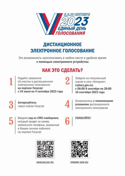 Дистанционное электронное голосование.. Дистанционное электронное голосование..